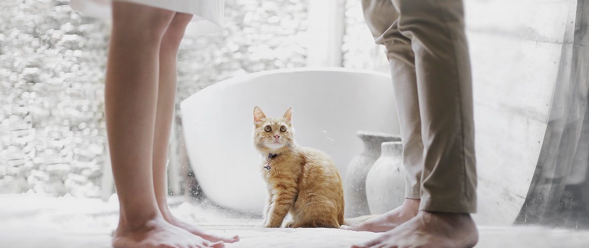 podział majątku a rozwód